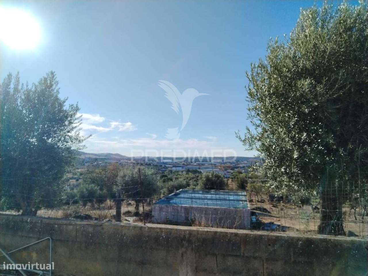 Quinta em Portalegre - Grande imagem: 5/6