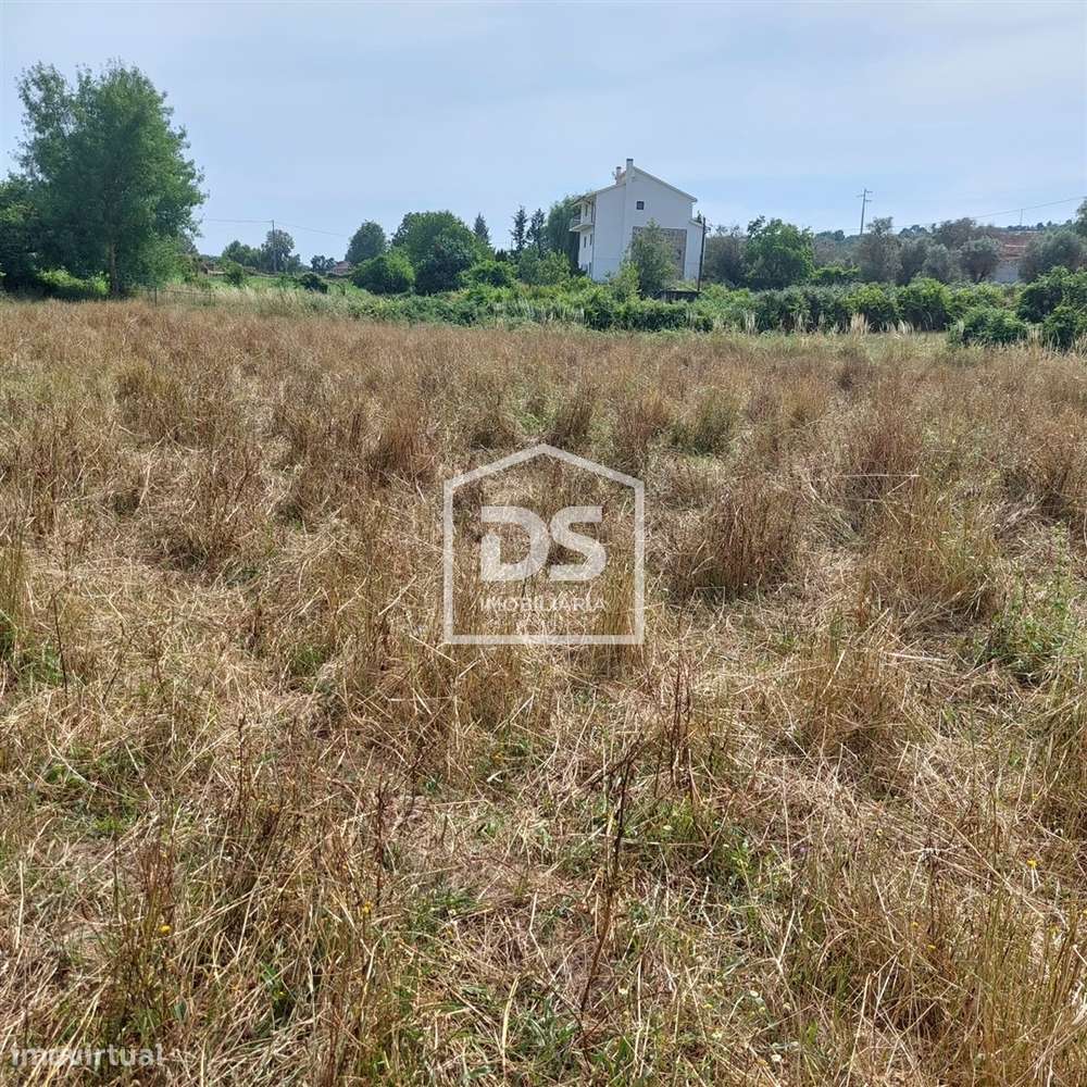 Lote de Terreno  Venda em Juncais, Vila Ruiva e Vila Soeiro do Chão,Fo-24