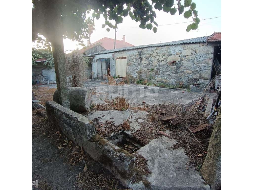 Quintinha com 2 artigos - Grande imagem: 4/38