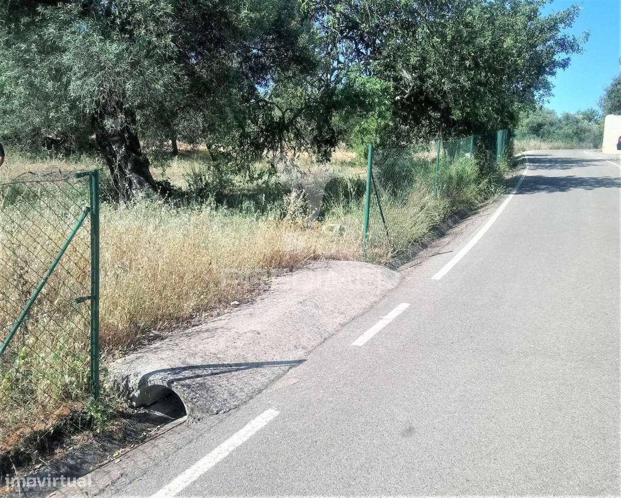 TERRENO RUSTICO -SANTO ESTEVÃO-TAVIRA - Grande imagem: 5/12