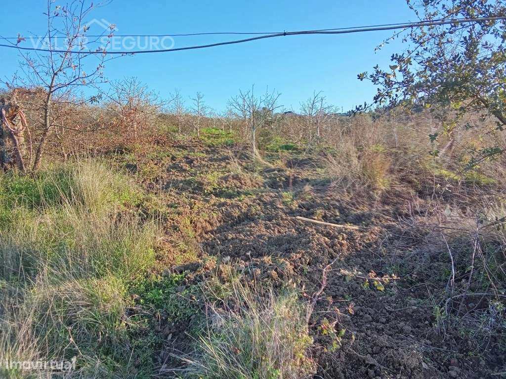 Terreno rústico em Vale Serrão, Pereiro de Palhacana, Alenquer-18