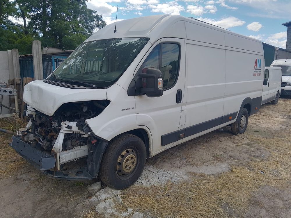 Fiat Ducato 2019