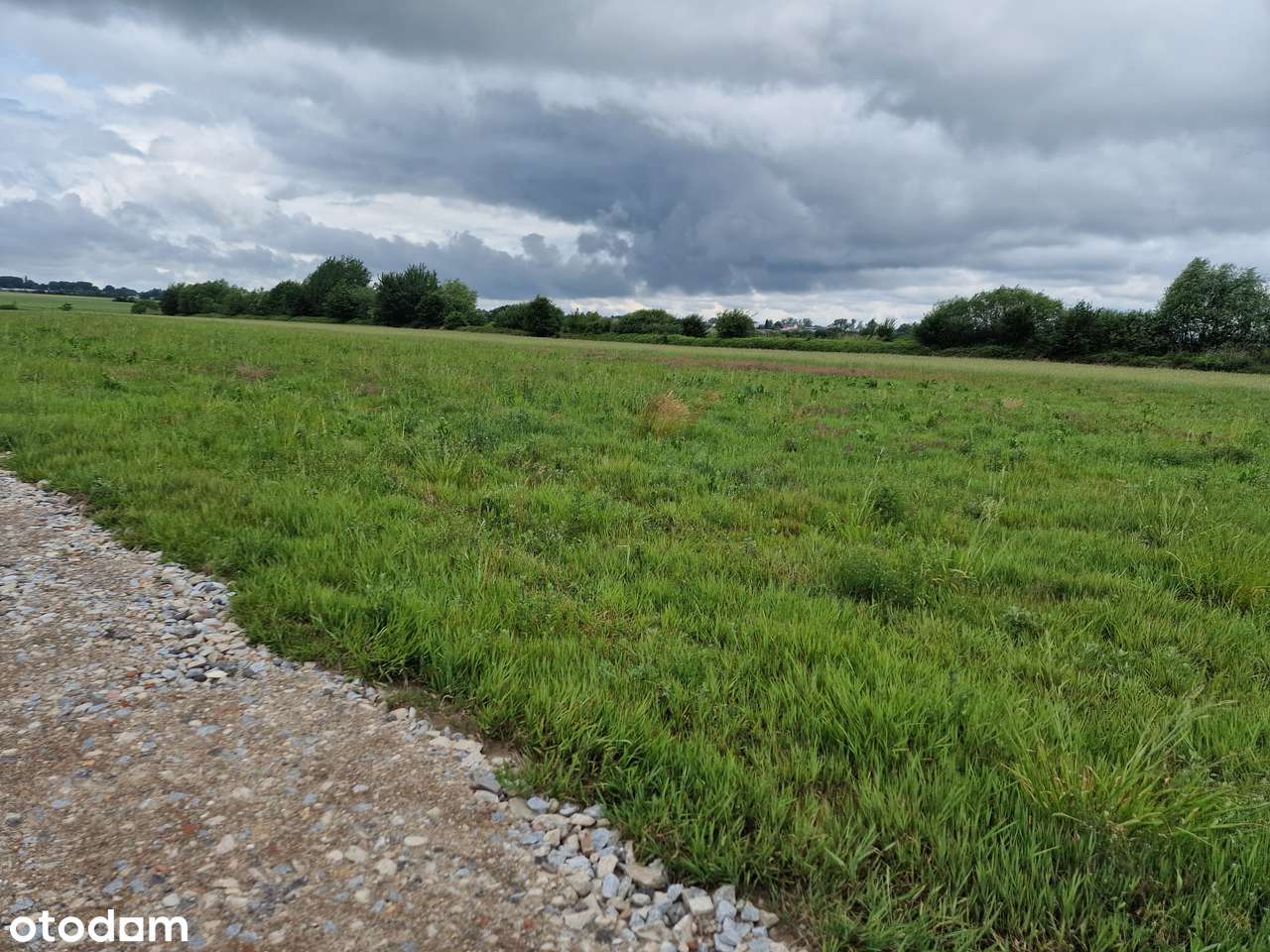 Działki na sprzedaż Konstantynów Łódzki - Pełny obrazek: 4/9