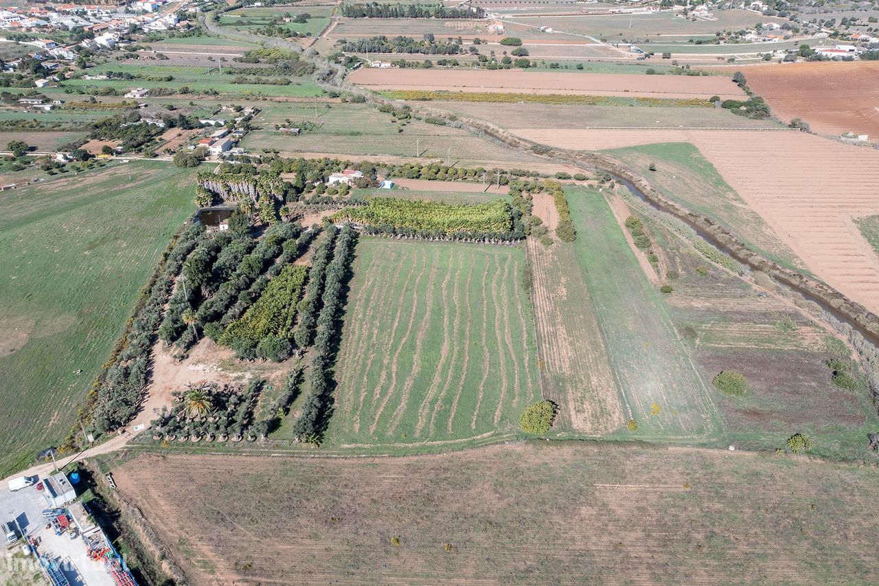 TERRENO RÚSTICO PARA FINS AGRÍCOLAS, ODIÁXERE