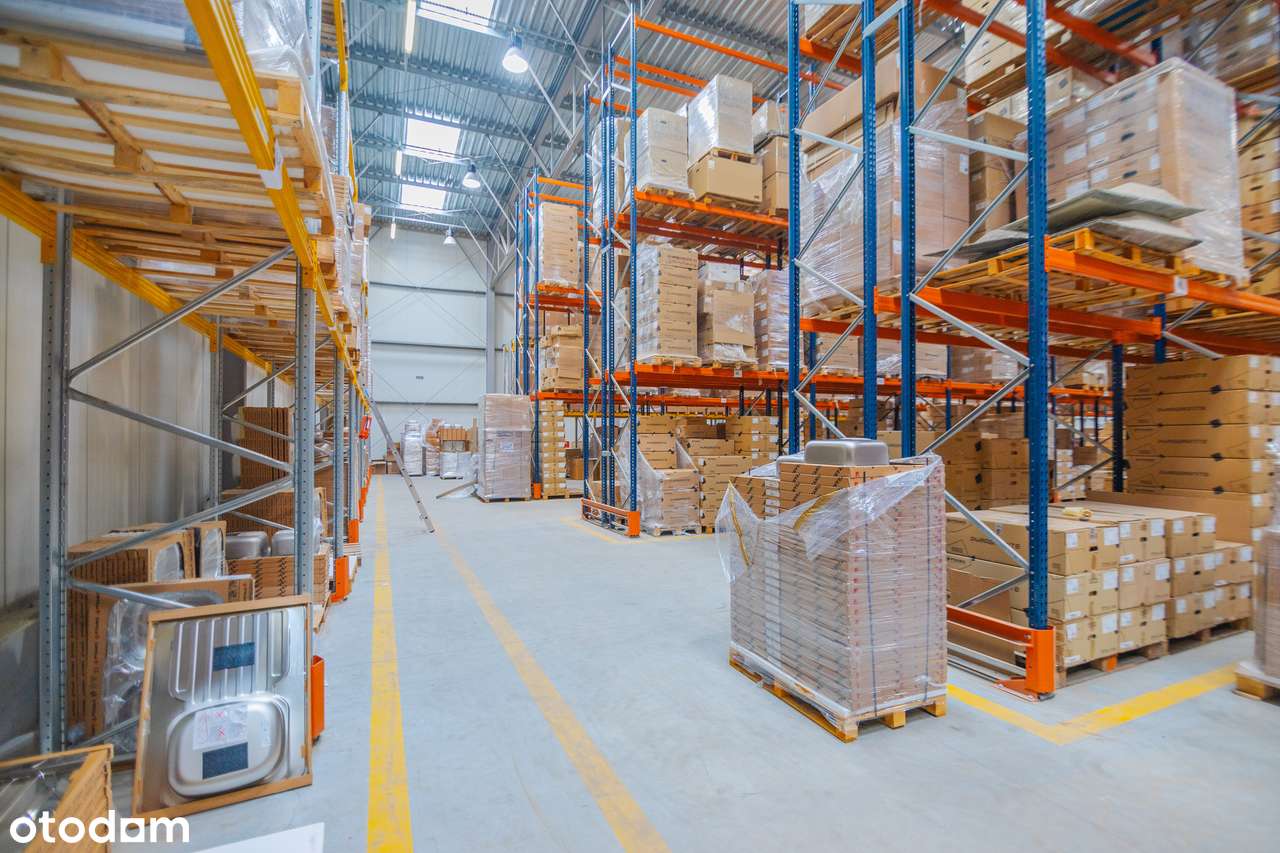 Obiekt magazynowo-biurowy 3 200 m² z potencjałem rozbudowy do 5 800 m² - Pełny obrazek: 4/13