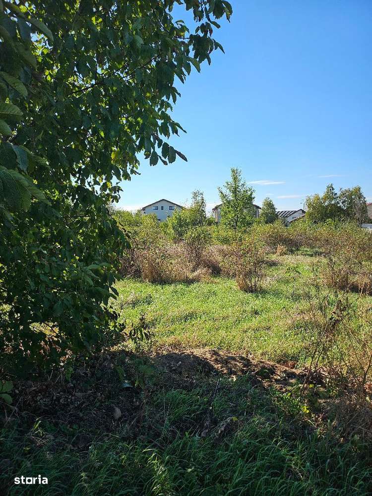 Comuna 1 Decembrie, Jud. Ilfov, teren Strada Sperantei - Imagine principală: 1/4