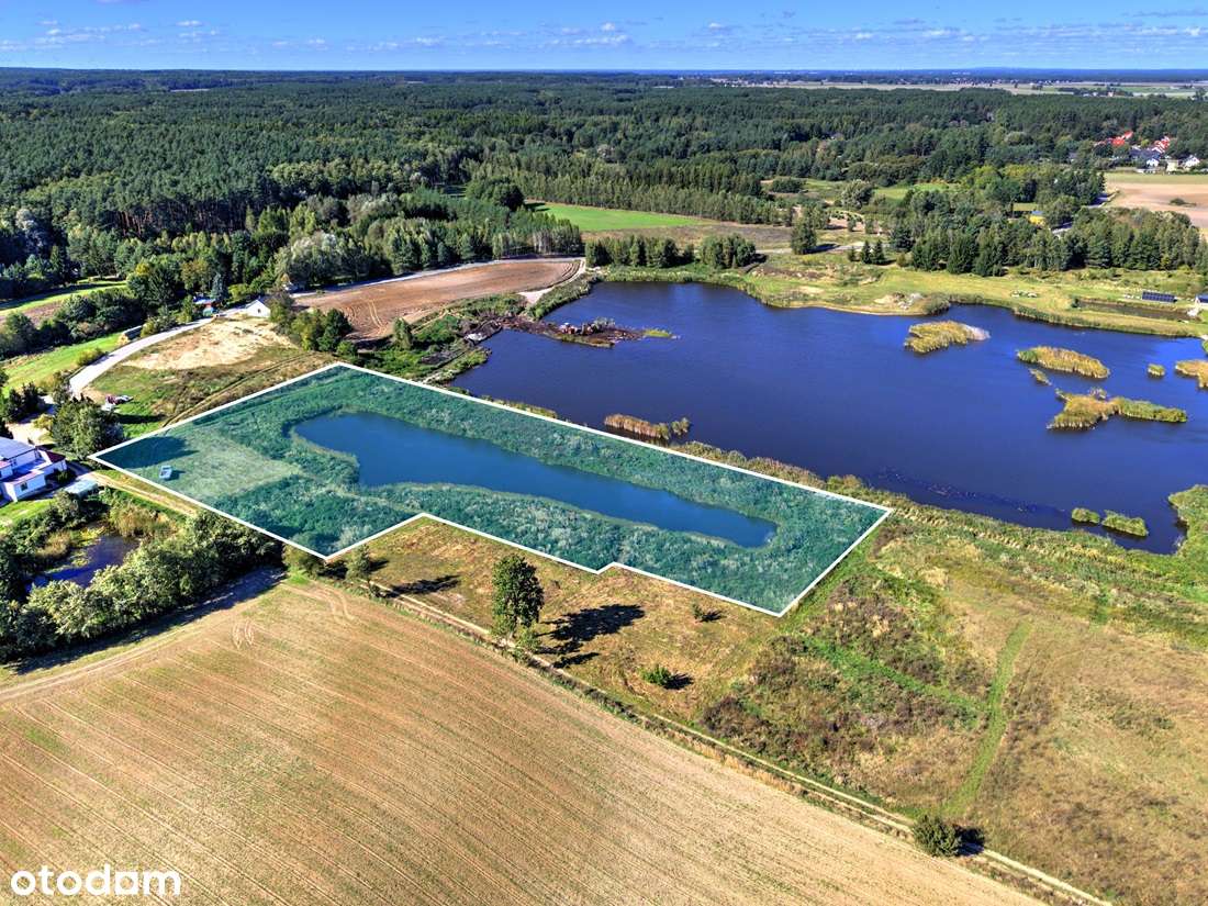 Działka budowlana wraz ze stawem - Potrzanowo - Pełny obrazek: 4/7
