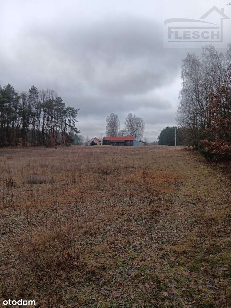 Bardzo ładna działka 12ha  Podlindowo Gm Mszczonów-12