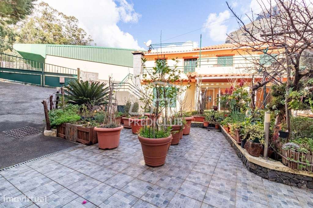 Moradia T4 + Apartmento T1 - Curral das Freiras - Grande imagem: 4/37