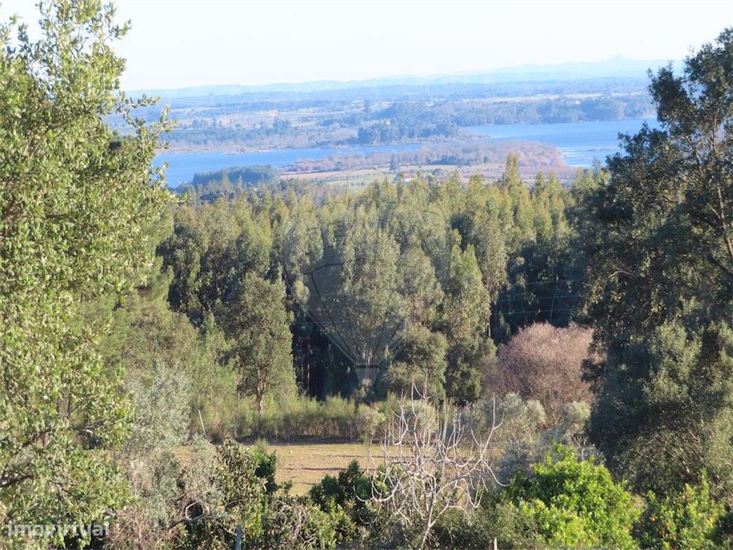 Quinta T0 para venda - Grande imagem: 3/36