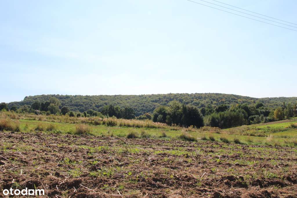 Działka budowlano - rolna przy Parku Ojcowskim-7