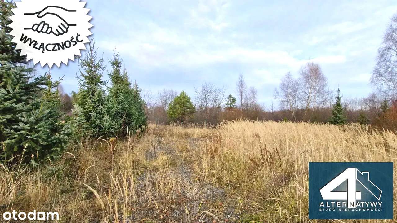 Malownicza działka we wsi Luta - Pełny obrazek: 5/11