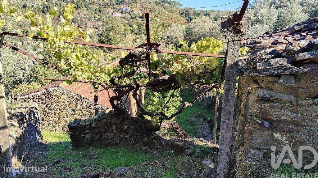 Quinta T4 em Pedrógão Grande de 426,43 m2 - Grande imagem: 4/40