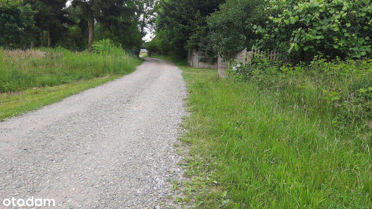 Działka komercyjna-usługi, trasa S8.-6