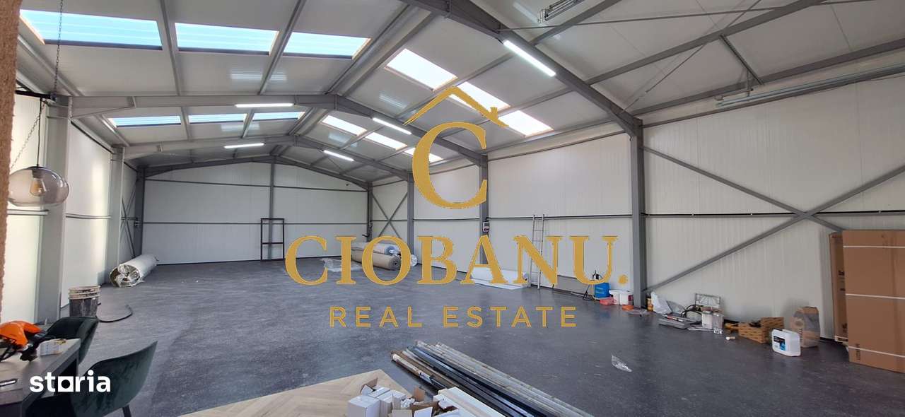 Hala de vanzare in Racarii de Jos-9