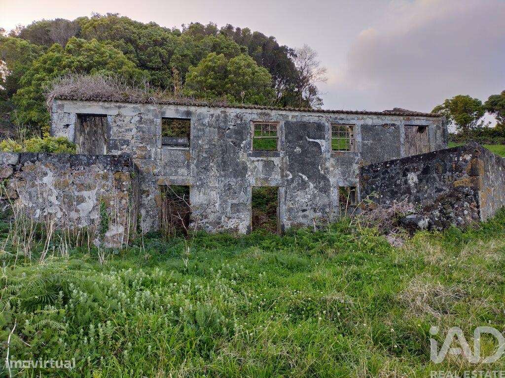 Casa de Campo T3 em Piedade de 180,00 m2 - Grande imagem: 5/20