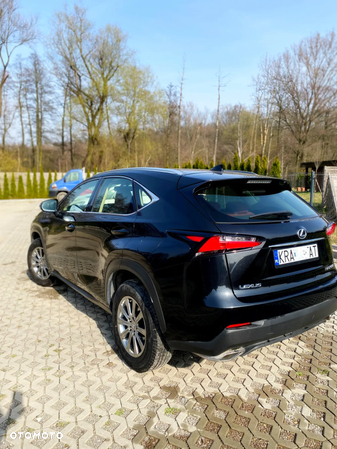 Lexus NX - 15