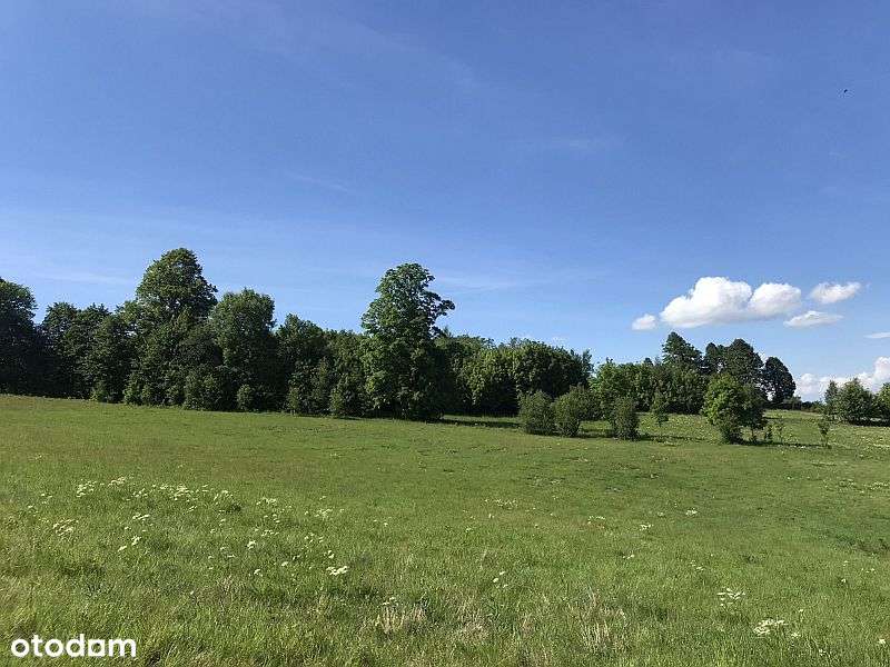 Góry Izerskie na wyciągnięcie ręki – działka budowlana 0,5 ha Gierczyn - Pełny obrazek: 5/9