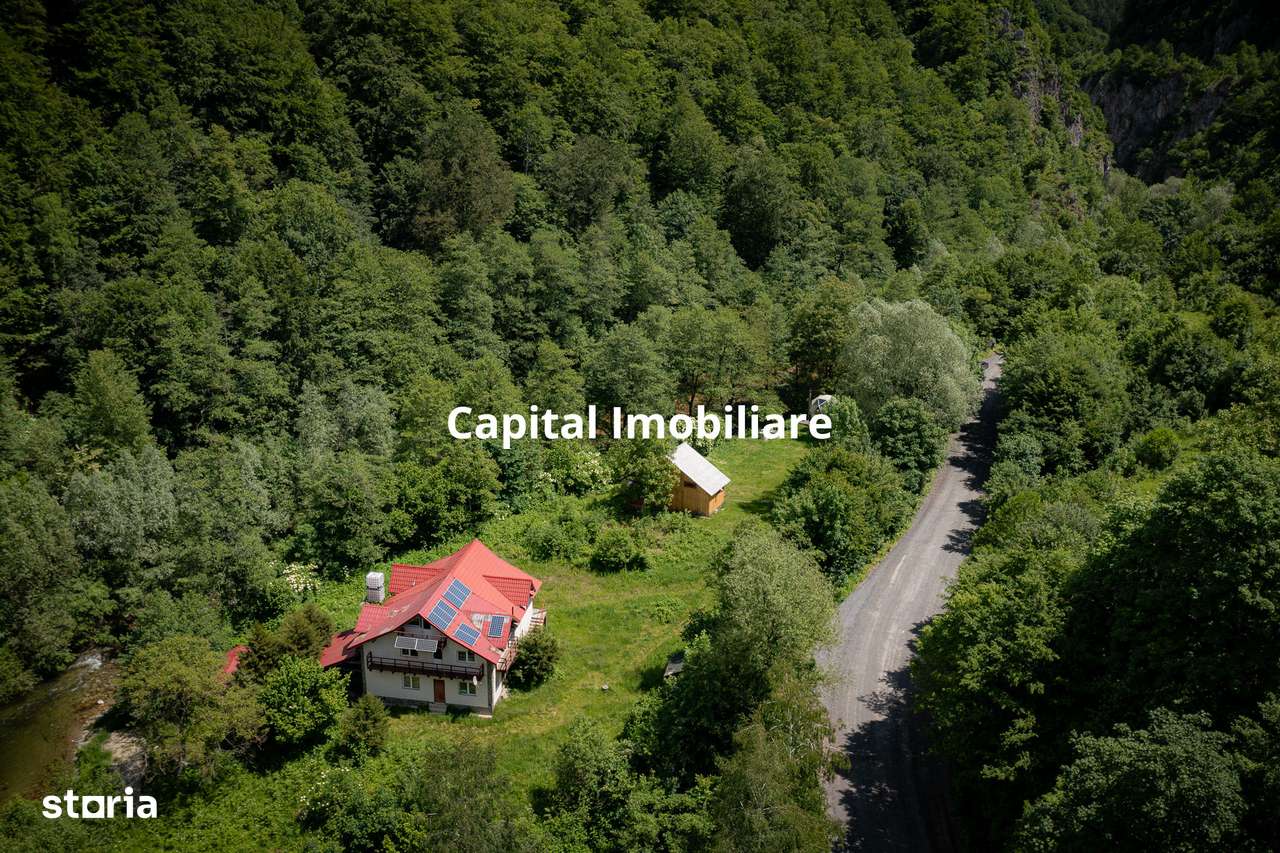 Casa de vacanta perfecta pe malul Cernei - Imagine principală: 2/13