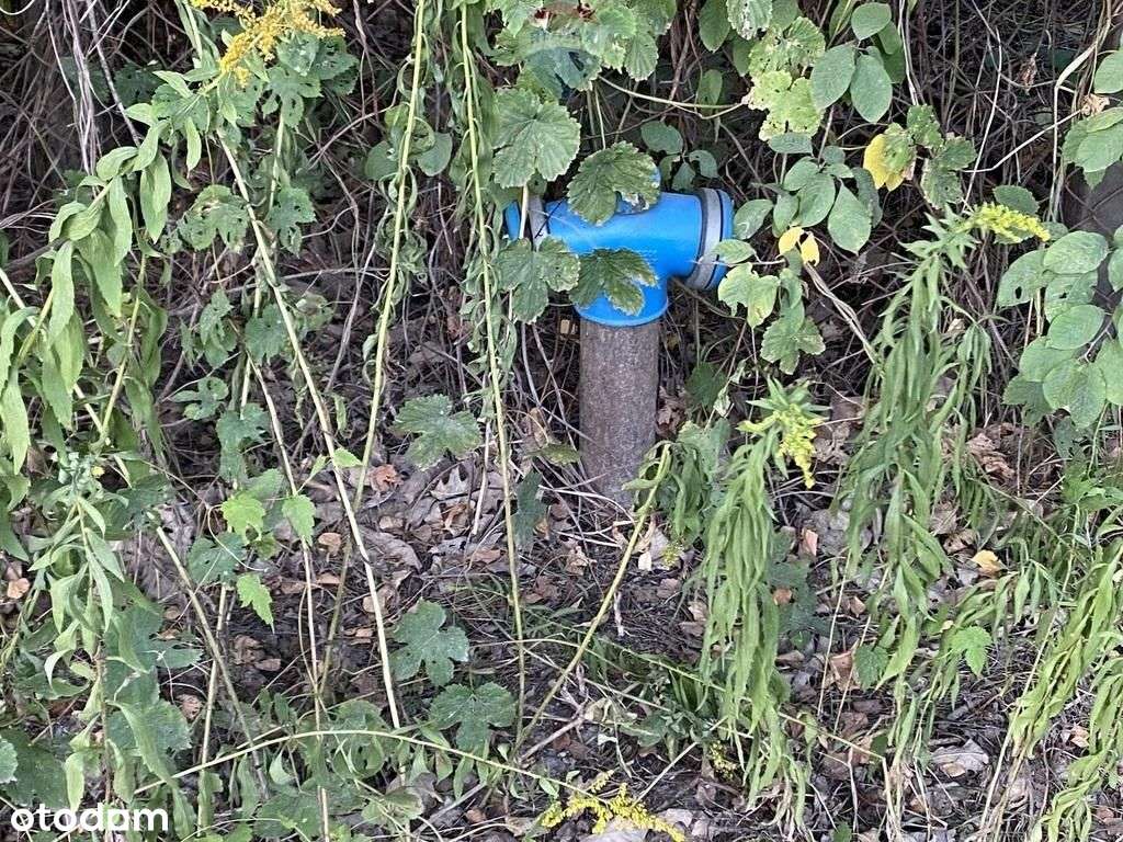 Działka w spokojnej okolicy - Pełny obrazek: 4/8