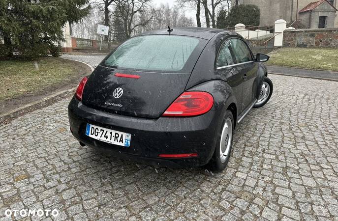 Volkswagen Beetle - 19