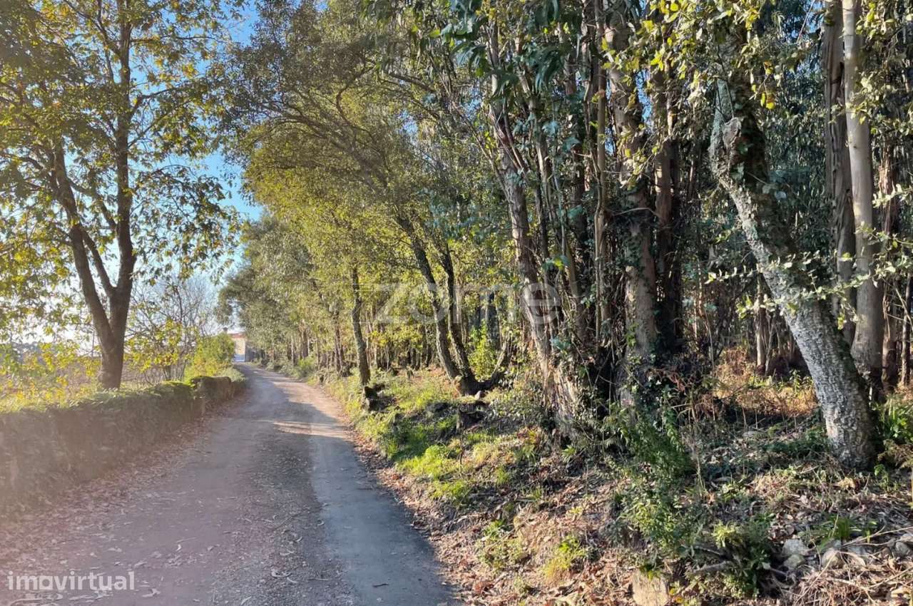 Terreno Rústico Plano com 38.100m² em Vila de Punhe - Grande imagem: 4/19