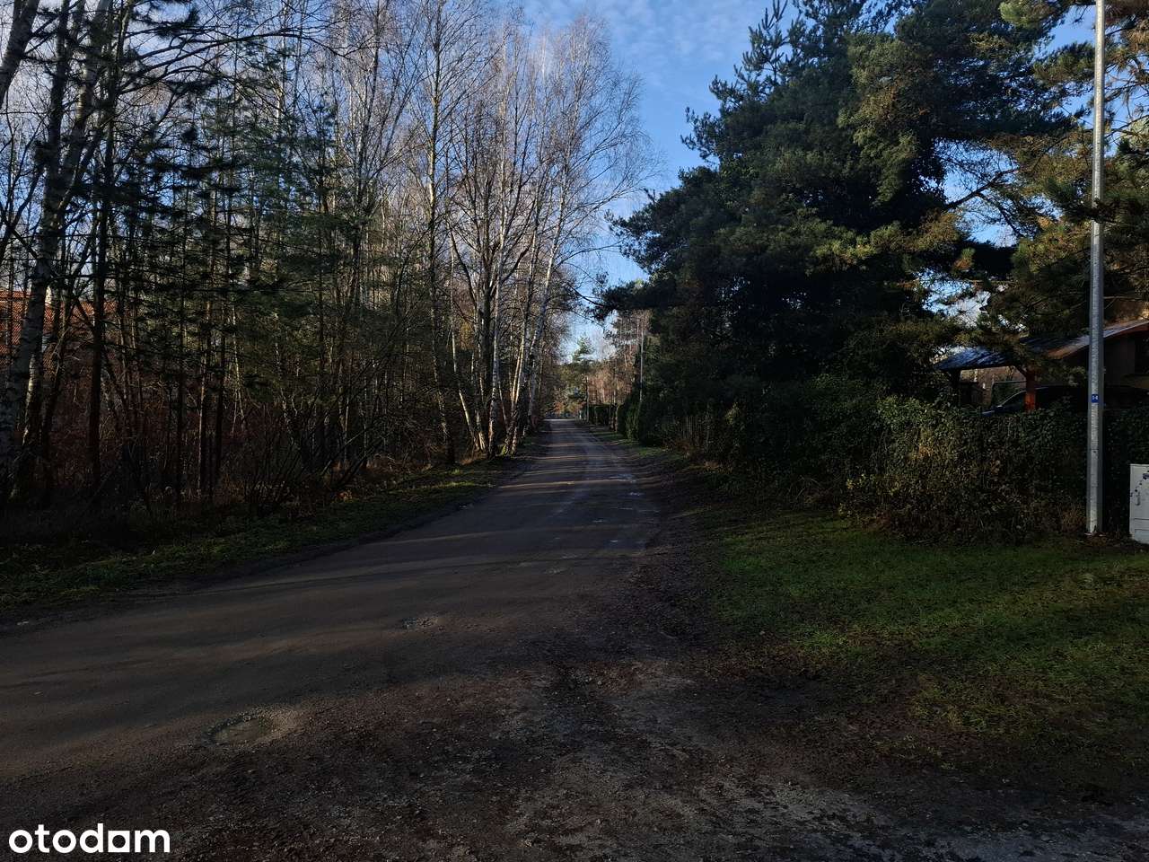 Wszystkie media, MPZP, blisko las - Pełny obrazek: 3/5