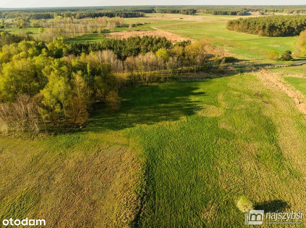 Grzepnica - Działka z wydanymi Wz z potencjałem - Pełny obrazek: 2/20