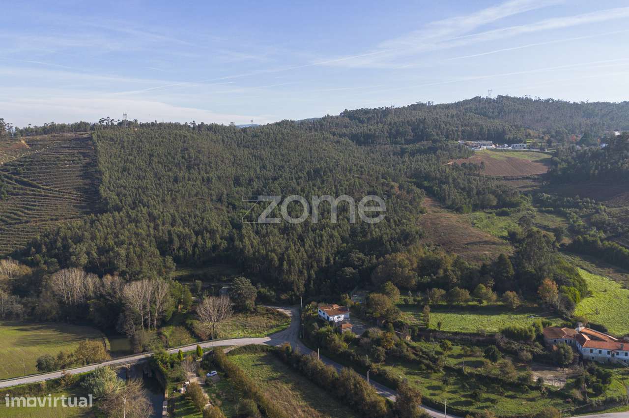 Casal - Terreno de uso Silvícola e Agrícola c/ 44.077 m², em Sobrei... - Grande imagem: 5/15
