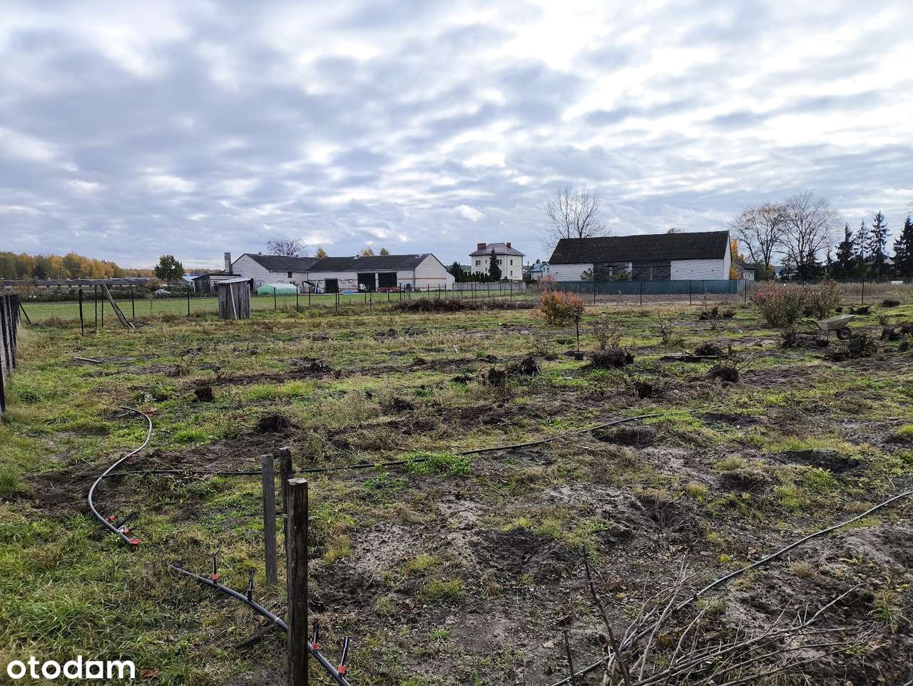 Sprzedam działkę budowlaną w Grubalach 8 km  od Siedlec ( REZERWACJA ) - Pełny obrazek: 5/10