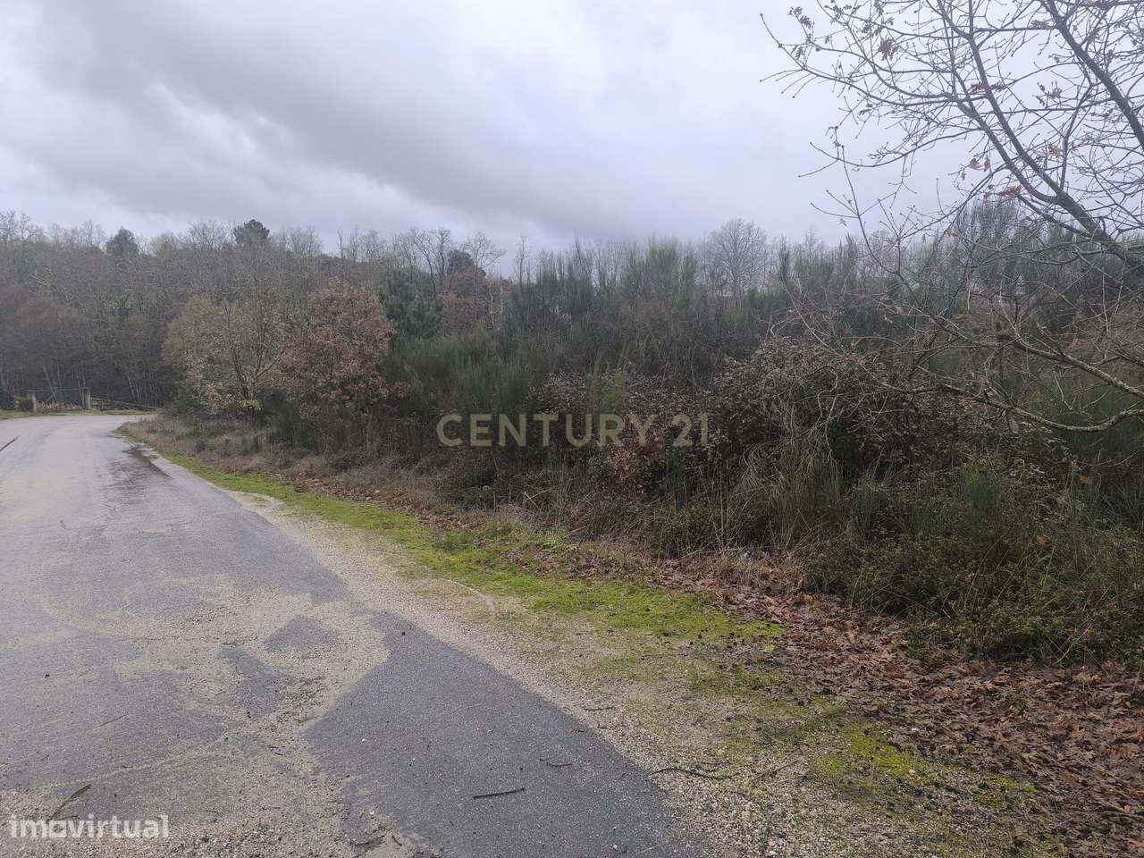 Terreno rústico com 4500 m2 , à beira da estrda Nacional 213 - Grande imagem: 5/14
