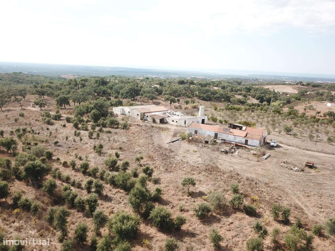 Monte Alentejano - Santiago do Cacém - 13 hectares-5