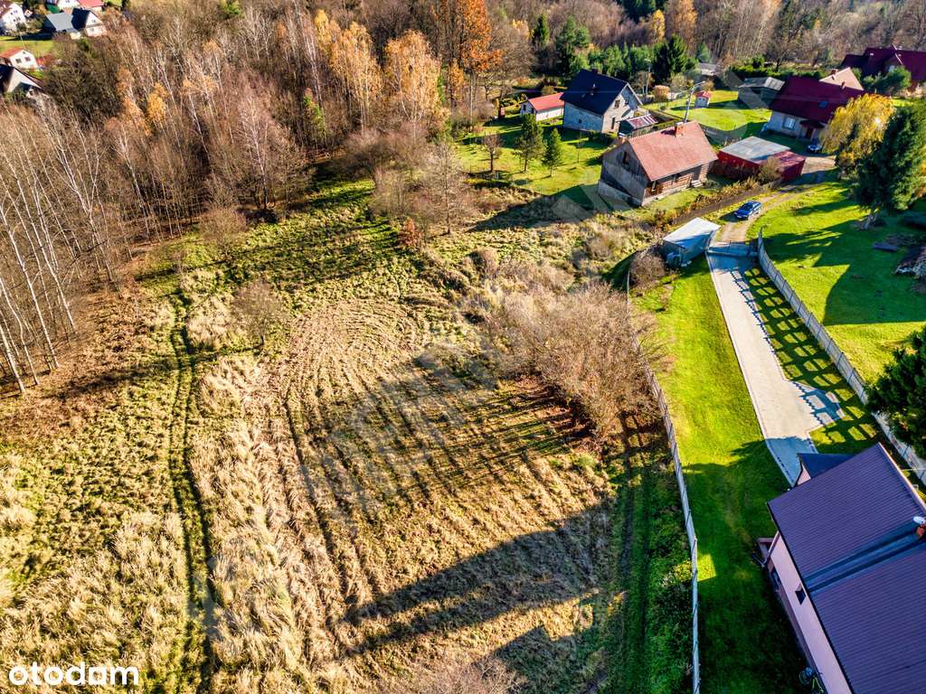 Działka w spokojnym miejscu blisko lasu-1