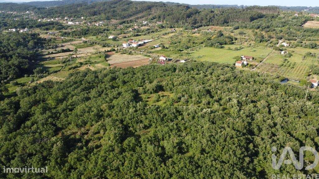 Terreno em Areias e Pias de 5960,00 m2 - Grande imagem: 4/29