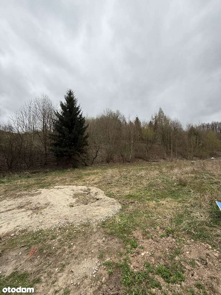 Działka z warunkami zabudowy - las, dostęp do drogi. Inwestycja.-4