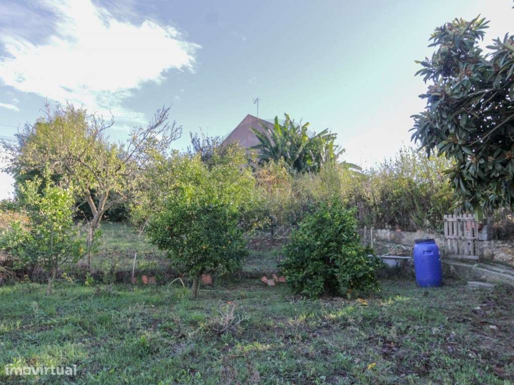 Moradia V3 c garagem em 1.040 m2 a 1 hora de Lisboa-37