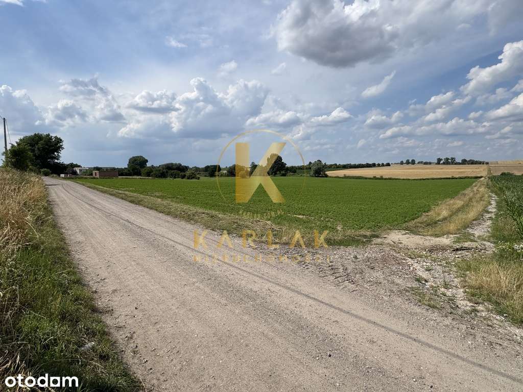 Działka w Lubiatowie (droga na Kotowo) Nowa Cena!-2