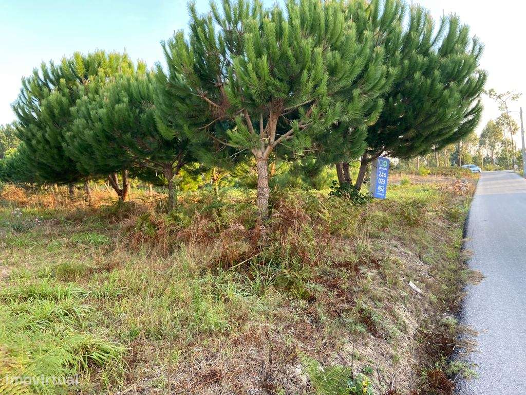 Terreno rustico / Lameira / Ortigosa - Grande imagem: 2/5