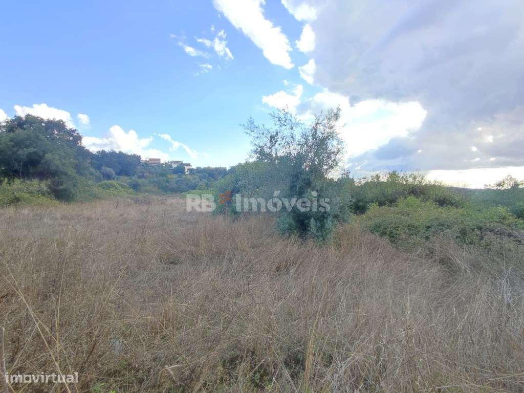 Terreno rústico com 1280m² - Ferreira do Zêzere - Grande imagem: 4/13