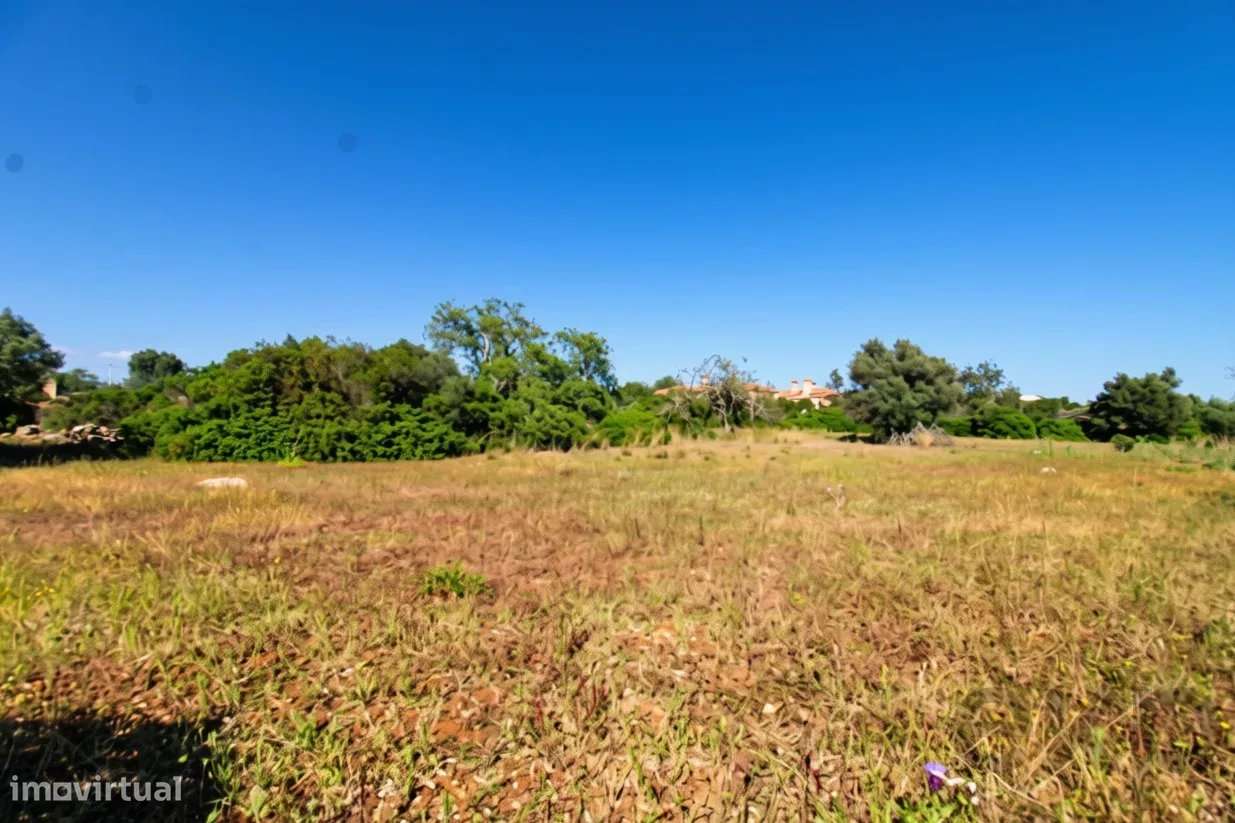 Dois terrenos rústicos planos, vendidos em conjunto, com 7120 m2-5