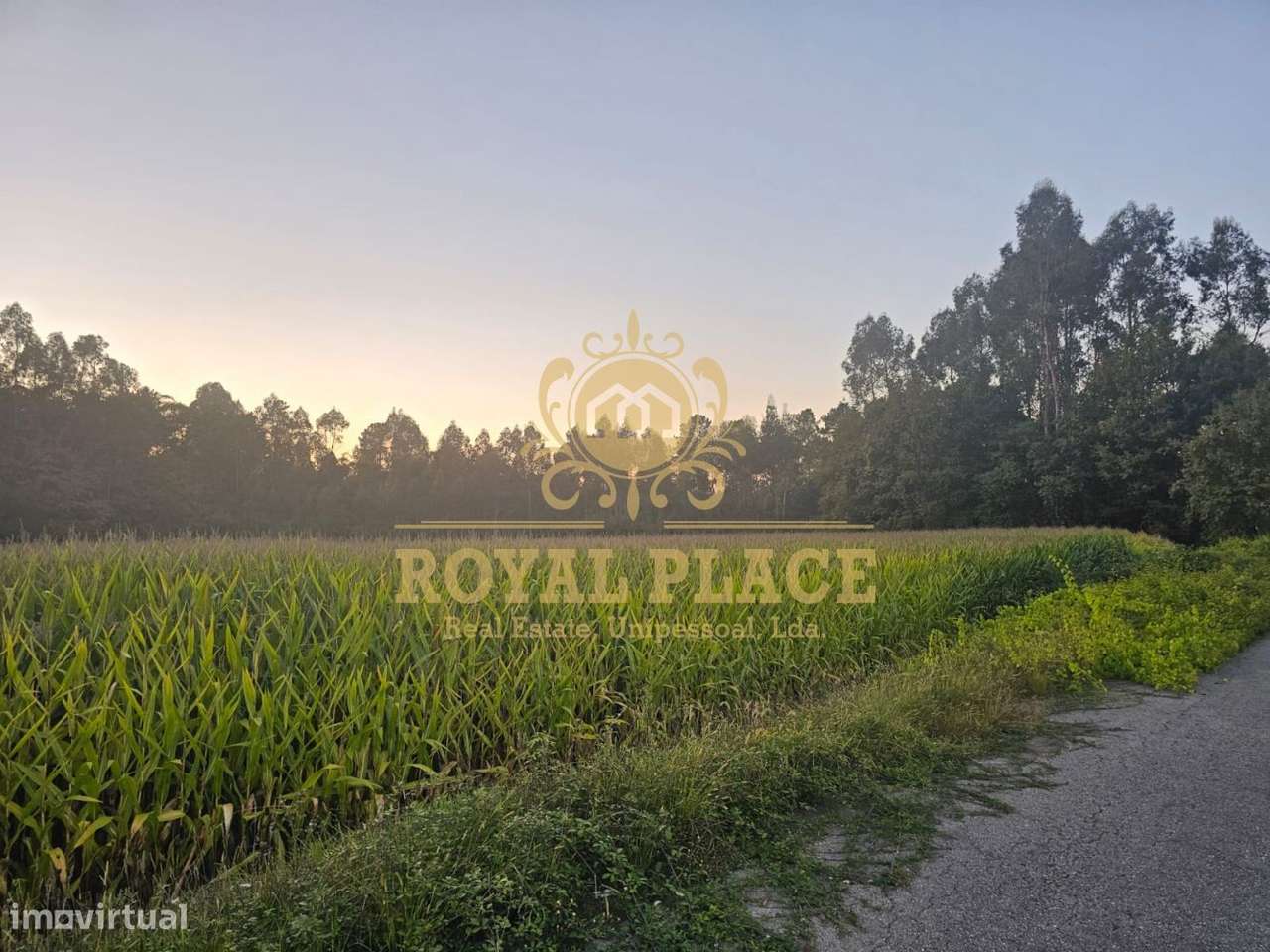 Terreno com PIP aprovado para construção em Santa Maria da Feira - Grande imagem: 3/12