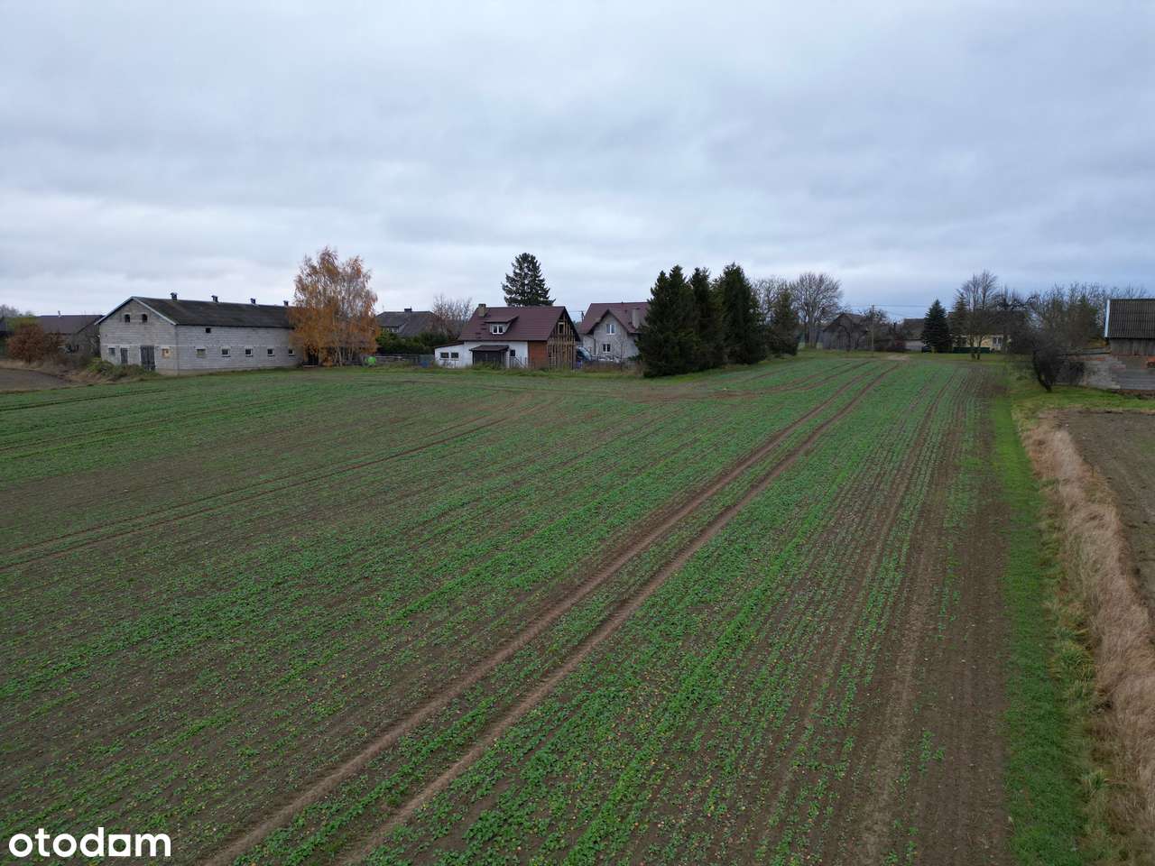 Działka budowlana Borzechowo 1030 m2 - BLISKO JEZIORA-7