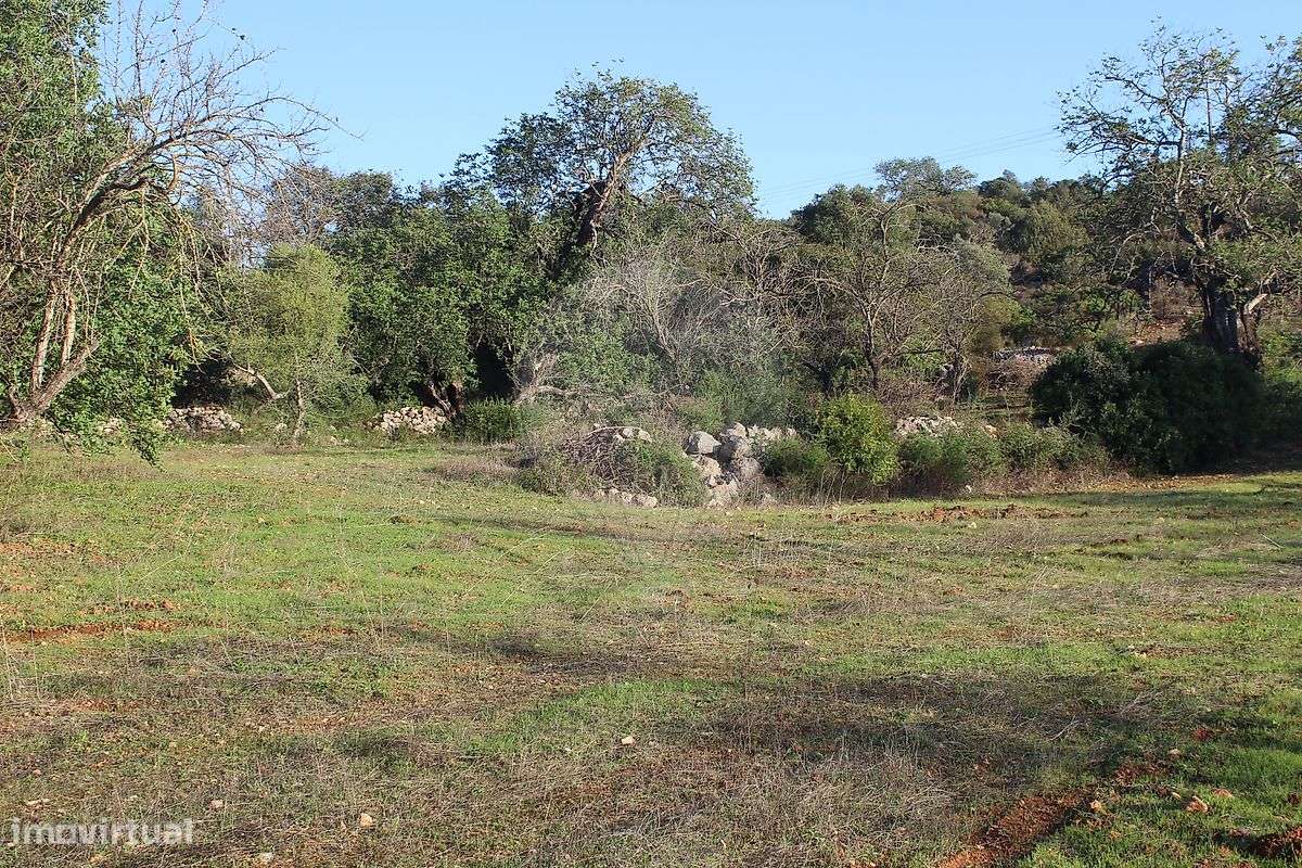 Terreno  para venda - Grande imagem: 3/9