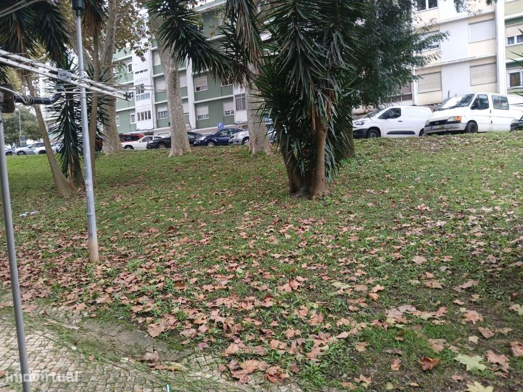 T2 Benfica - Charquinho-17