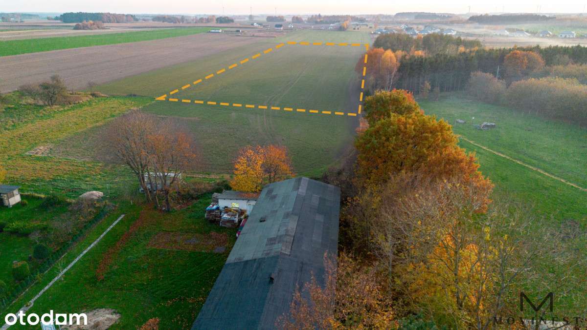 Inwestycyjny grunt 8008 m² - Charzyno / Kołobrzeg - Pełny obrazek: 5/6