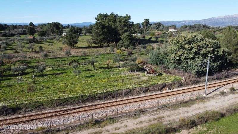 Vende-se quinta na Lardosa, local Ribeirinha. - Grande imagem: 4/8