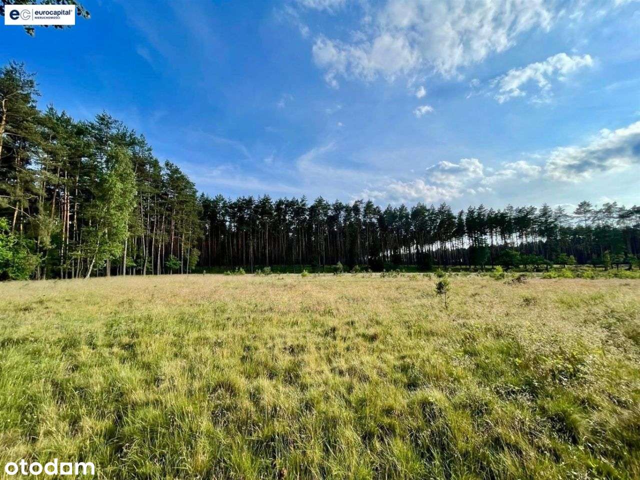 Olbrzymia Działka W Lesie Z Prawem Zabudowy!-13