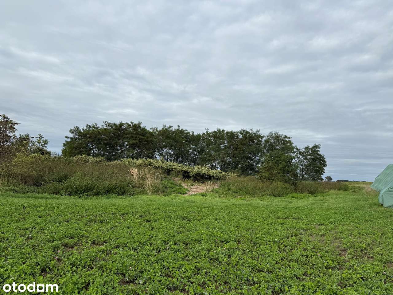 Działka w Starej Jamce-2