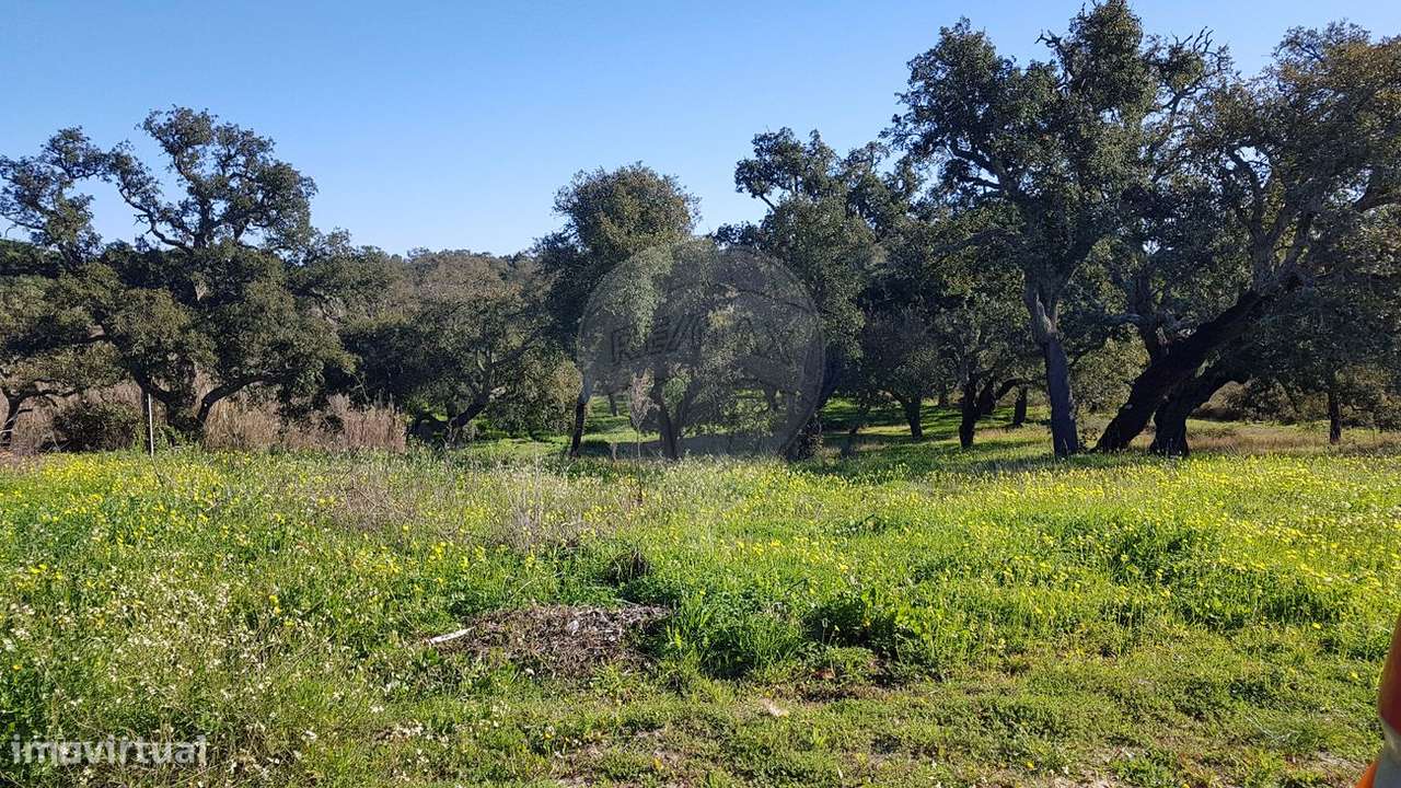 Quinta T4 para venda - Grande imagem: 4/15