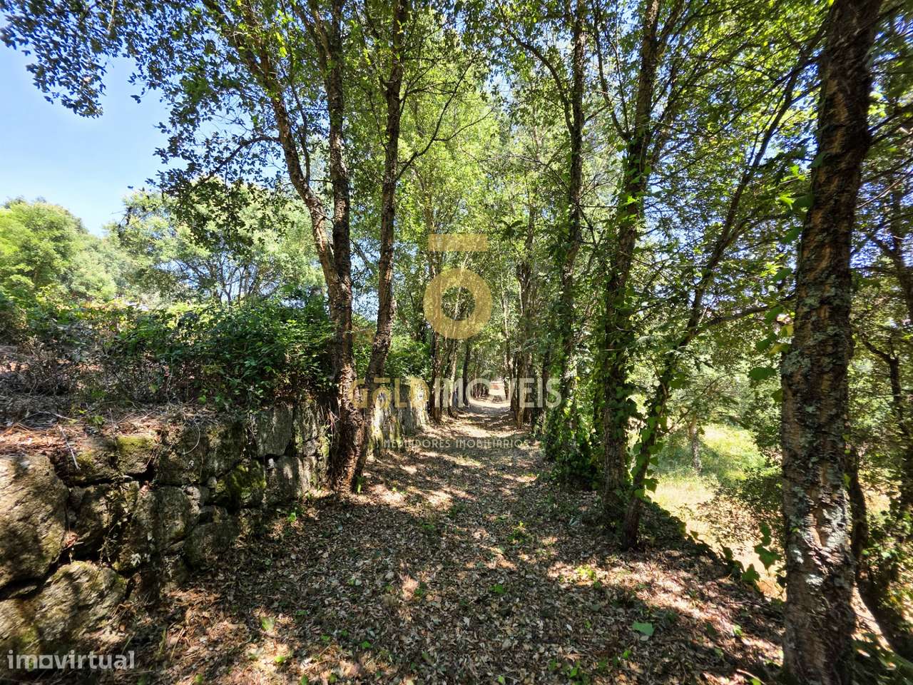 Quinta T4 Venda em Sobrado e Bairros,Castelo de Paiva-14